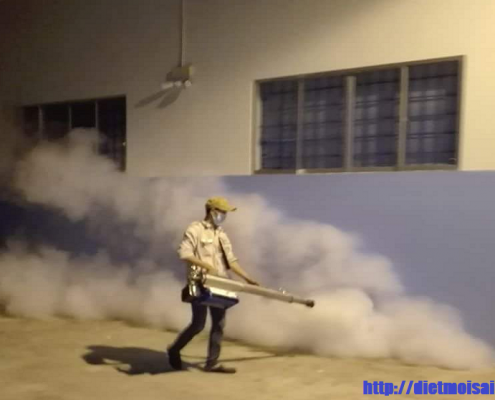 Dịch vụ diệt côn trùng tại Quảng Ninh
