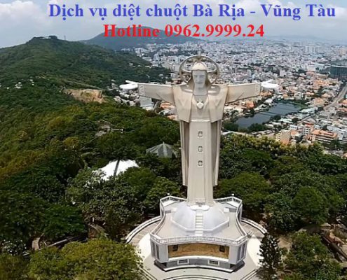 Dịch vụ diệt chuột giá rẻ tỉnh Bà Rịa – Vũng Tàu