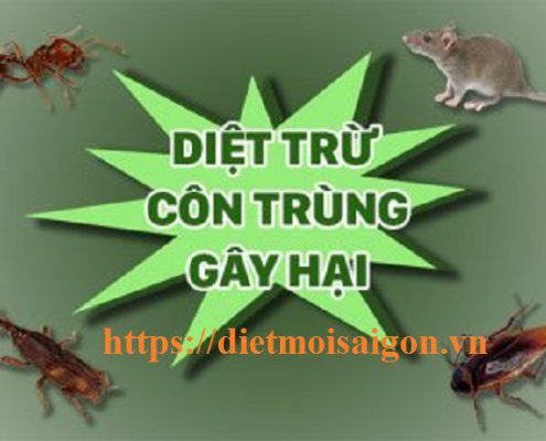 Công ty diệt côn trùng Đồng Nai