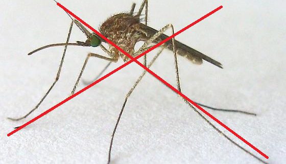 Công ty diệt muỗi Long An