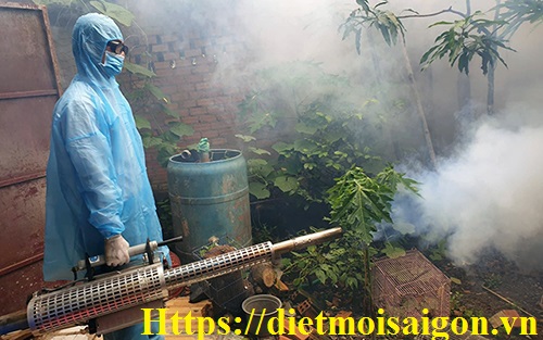 Phun diệt côn trùng, muỗi, ruồi, kiến, gián,....tại Hồ Chí Minh